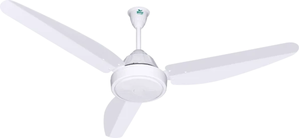 Tamoor Fan